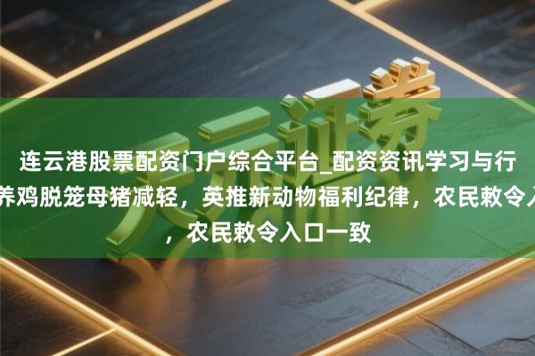 连云港股票配资门户综合平台_配资资讯学习与行情说明 养鸡脱笼母猪减轻，英推新动物福利纪律，农民敕令入口一致